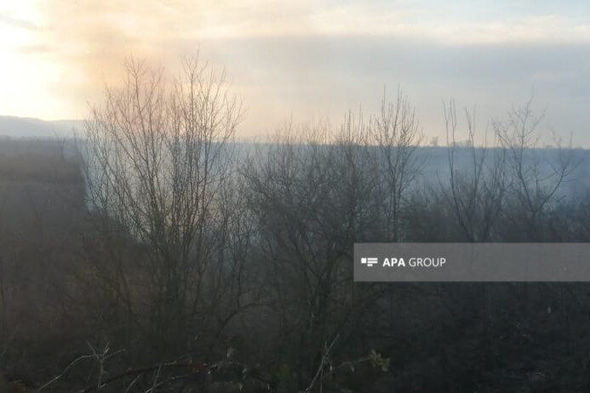 Qəbələdə güclü yanğın genişləndi: iki kənd təhlükə altında - FOTO