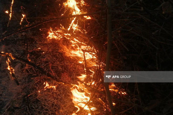 Qəbələdə güclü yanğın genişləndi: iki kənd təhlükə altında - FOTO