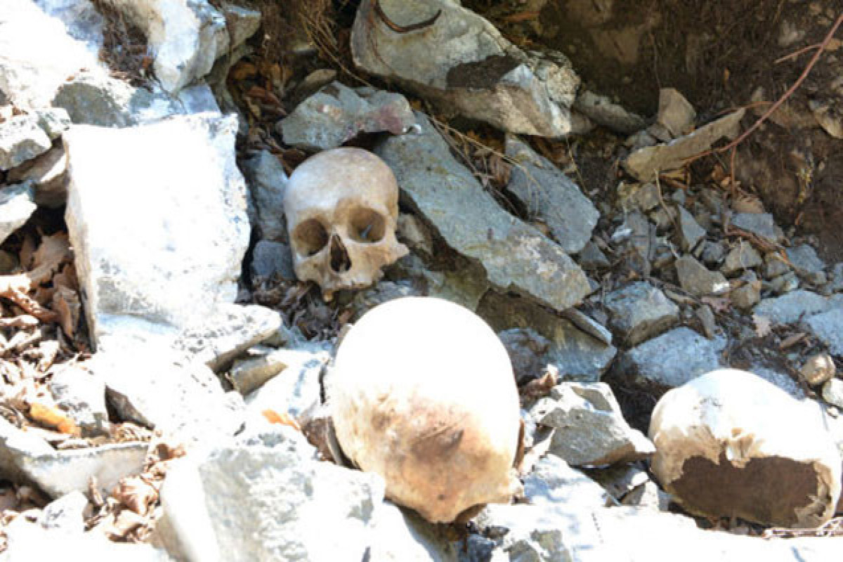 Xəzər sahilində dəhşət: 18 nəfərin qalıqları tapıldı