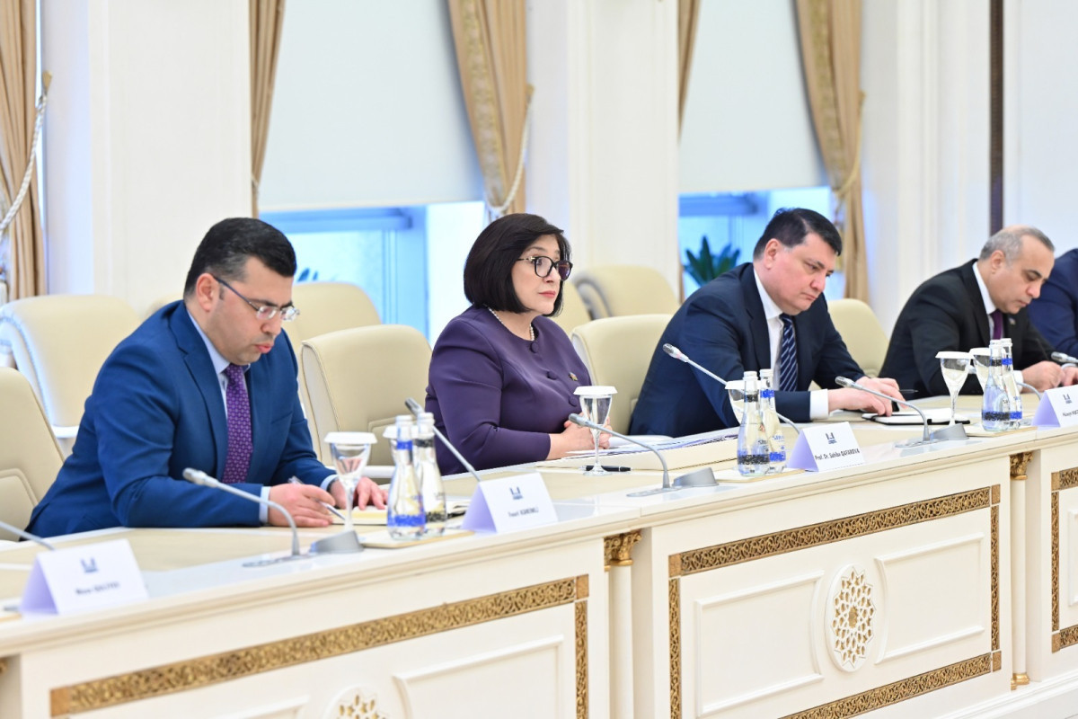 Bakı İrəvana 5 prinsip əsasında saziş təqdim edib - FOTOLAR