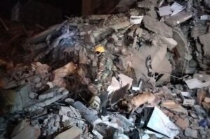 Azərbaycanın itləri Türkiyədə 15 canlını dağıntılar altında aşkarladı