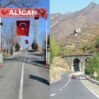 alican zengezur