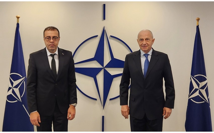 NATO-dakı nümayəndəmiz Stoltenberqin müavini ilə görüşdü