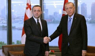 erdogan qarinashvili