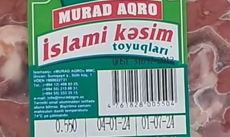gelecek toyuq