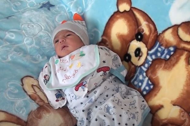 Ağalının ilk körpəsi - VİDEO