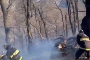 Azərbaycanda meşədə yanğın - FOTOLAR / YENİLƏNDİ