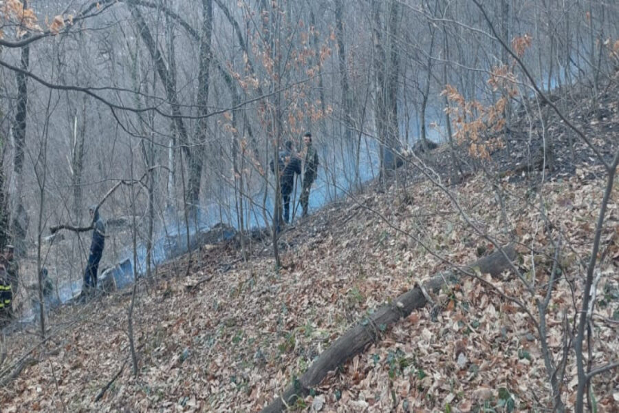 Beyləqanda meşə yandı