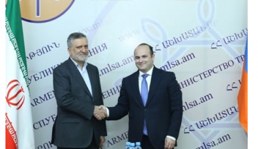mortazavi