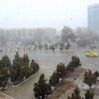 naxcivan qar1