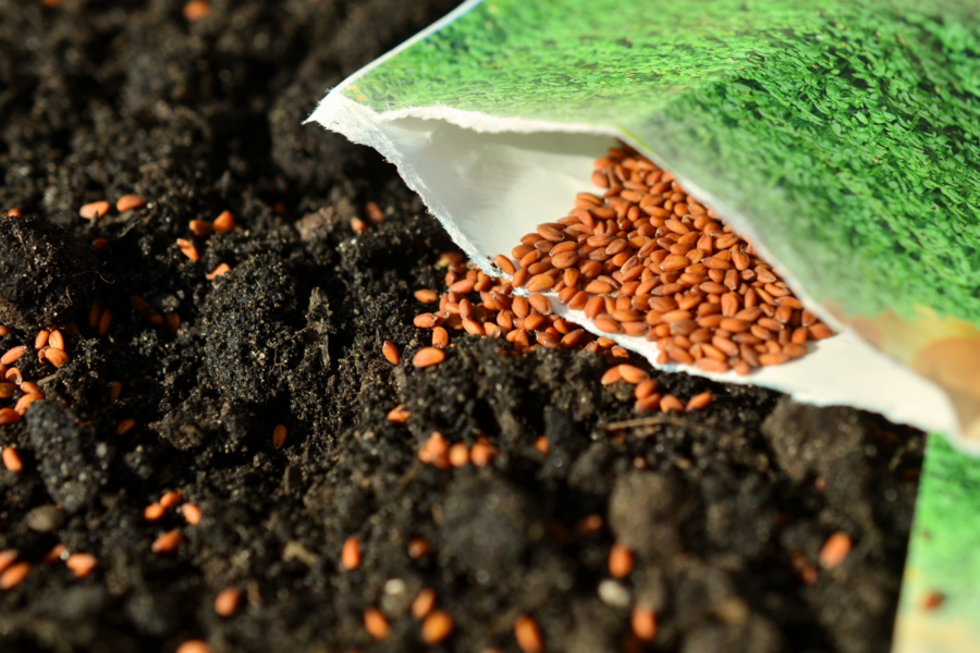 Bu məhsullar gömrük rüsumundan azad edildi