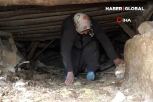 İnəyi dağıntılar altında qaldı, sahibi bunu etdi - VİDEO