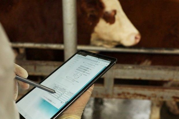 “Heç kim “mən onu aparmaq istəyirəm” deyib ölkədən heyvanı çıxara bilməz”