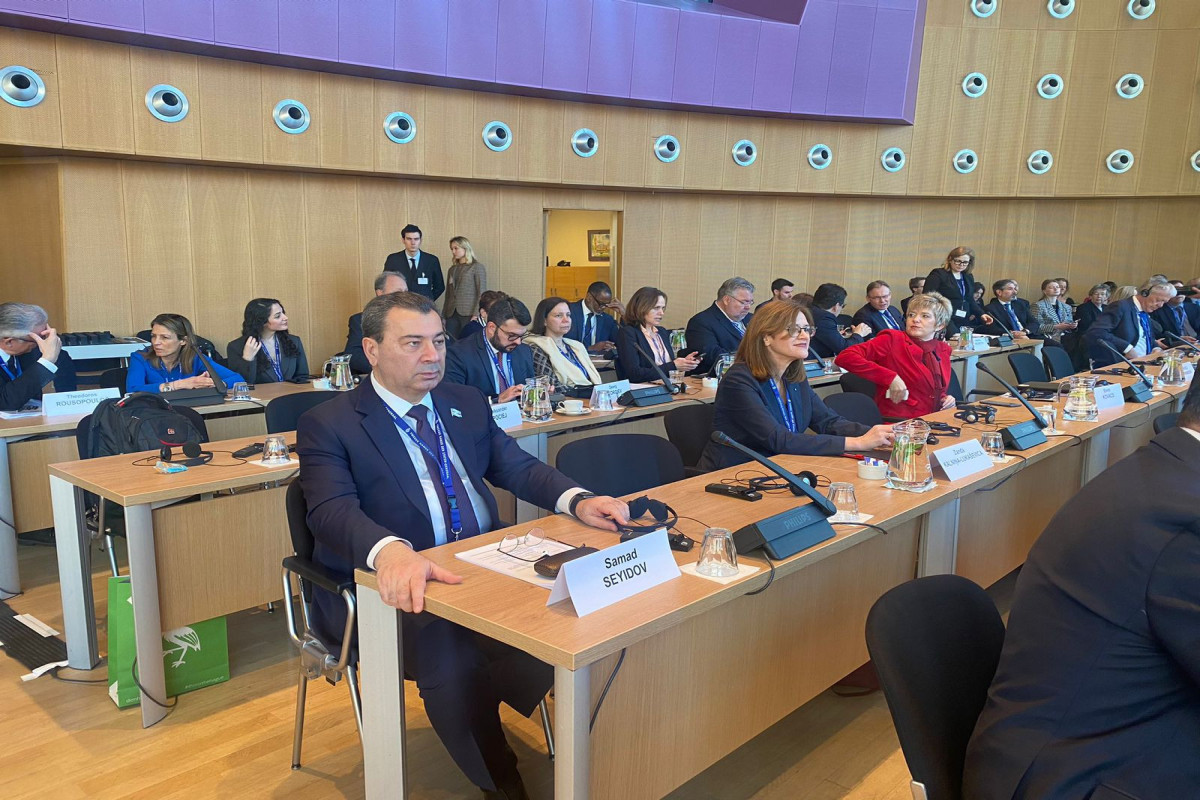 Haaqada AŞPA-nın Daimi Komitəsinin iclası keçirilir- FOTO