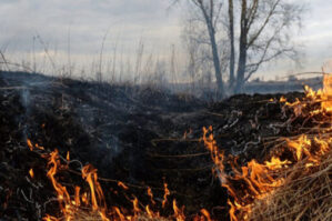 Ağdamda 10 hektar ərazi yandı