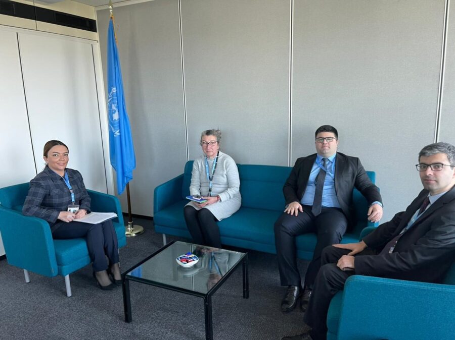 Bu məsələ Azərbaycanda son illərdə daha da aktuallaşıb - Aygün Əliyeva