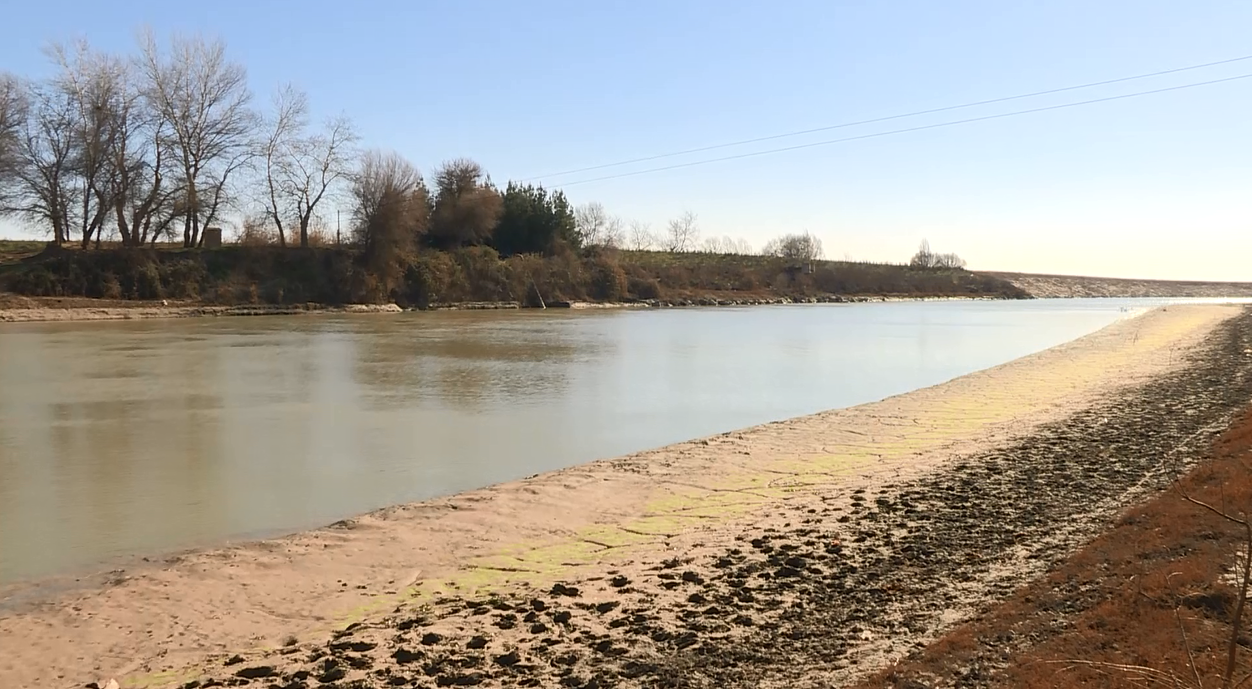 Kür çayında acınacaqlı durum... - FOTO