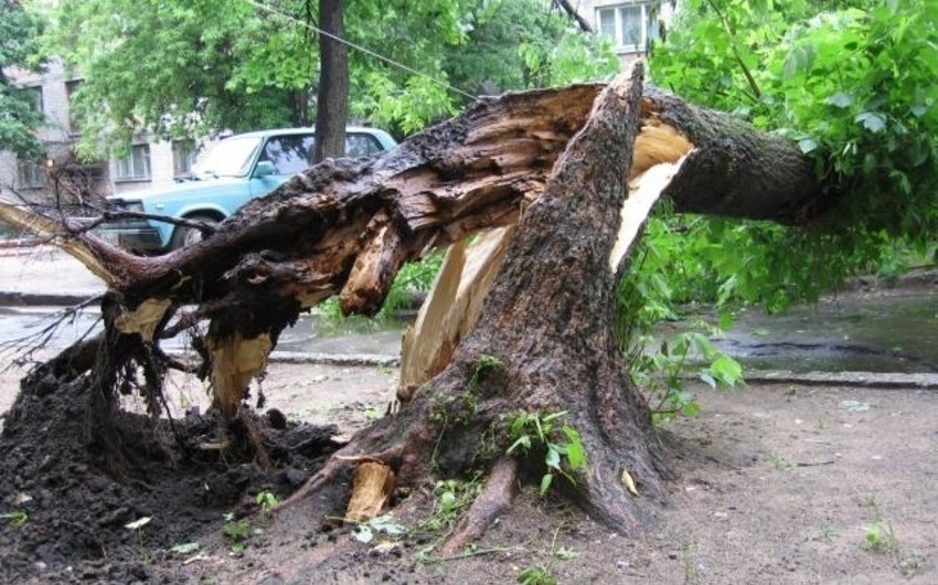 Şəkidə 29 yaşlı gənc faciəvi şəkildə öldü