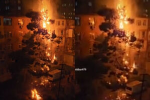 Bakıda bayram tonqalı ağacları yandırdı - VİDEO