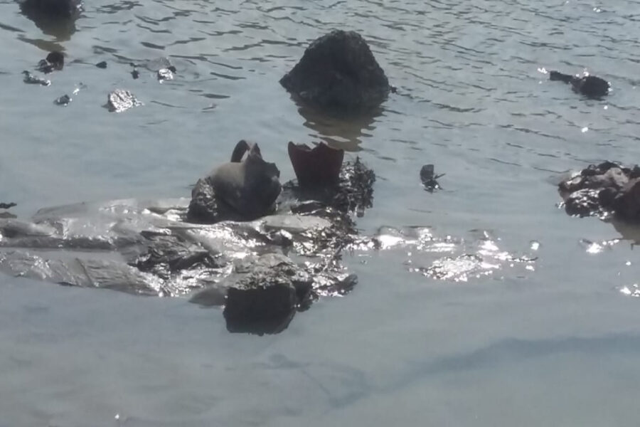 Kür qurudu, sərvət üzə çıxdı - FOTOLAR