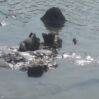 arxeoloji qazintilar