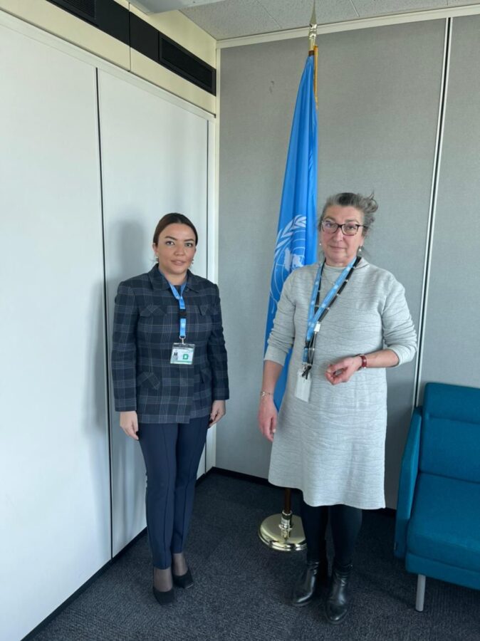 Bu məsələ Azərbaycanda son illərdə daha da aktuallaşıb - Aygün Əliyeva