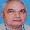 nemet veyselli