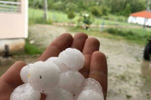 Bu ərazilərə güclü leysan və dolu yağdı: Təsərrüfata ziyan vurdu