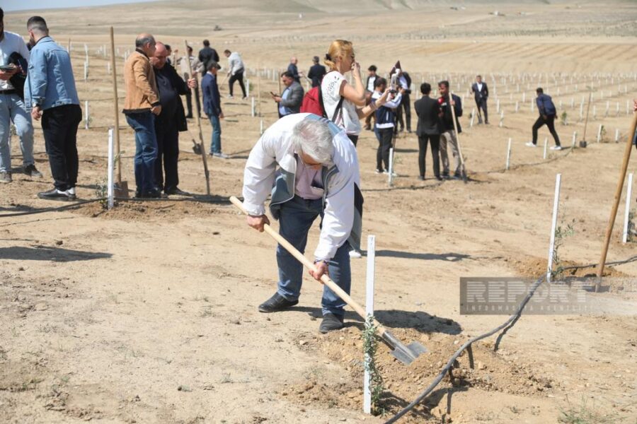 Media nümayəndələri ağac əkdilər - FOTOLAR