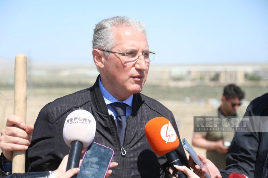 Media nümayəndələri ağac əkdilər - FOTOLAR