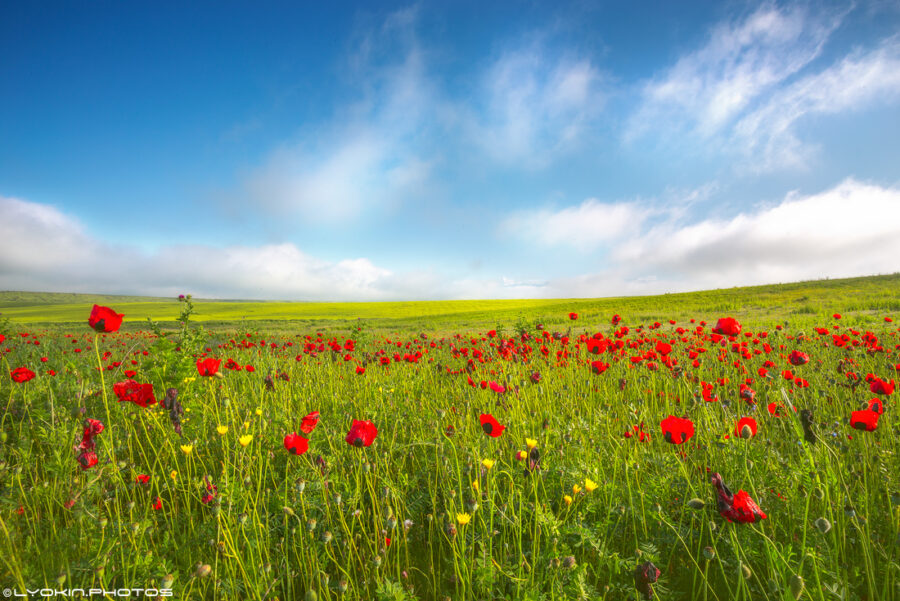 Mayın hava proqnozu