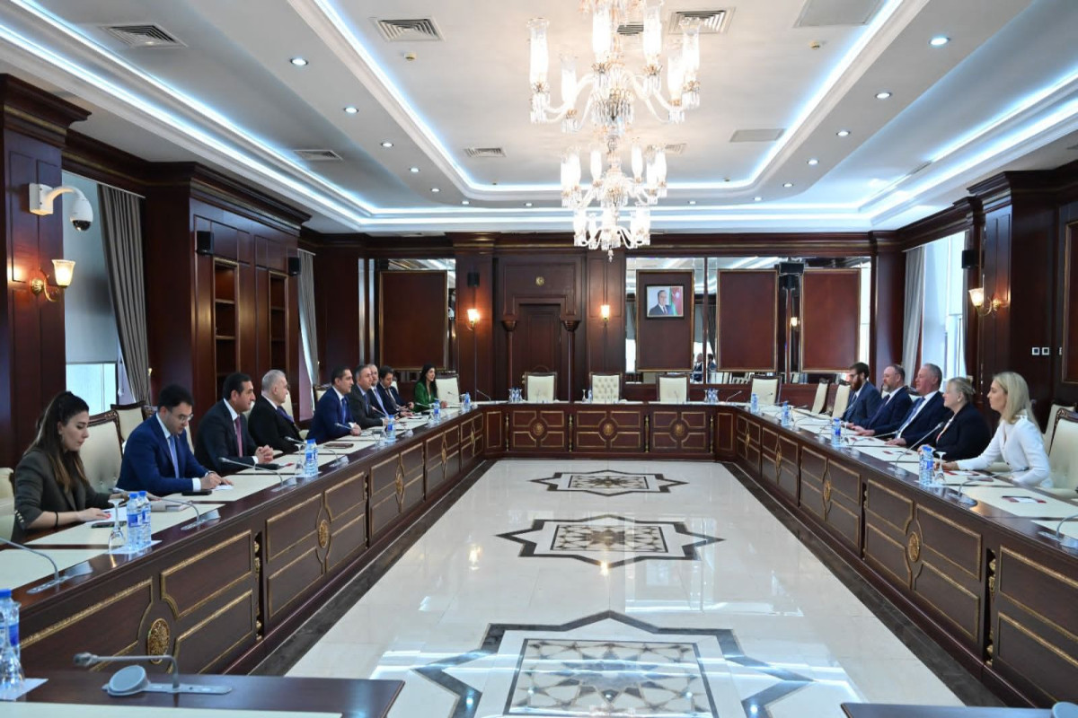 Britaniyalı deputatlar Milli Məclisdə - FOTOLAR