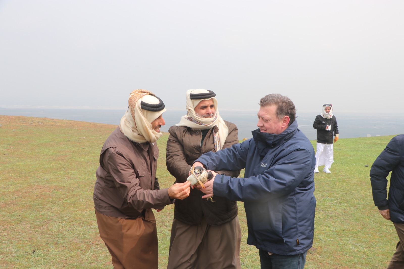 "Qırmızı Kitab"a düşən "Şahinlər"in buraxıldığı rayonlarımız – FOTOLAR