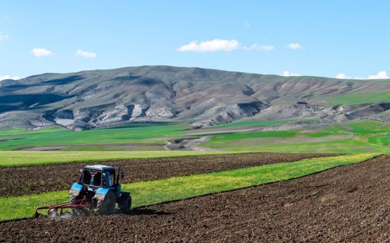 Kənd təsərrüfatı təyinatlı torpaqlarla bağlı yeni qayda