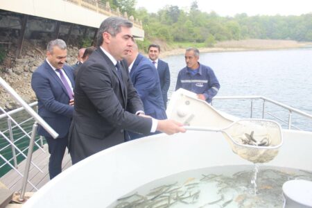 Göygölə 1500 ədəd qızılxallı forel körpəsi buraxıldı