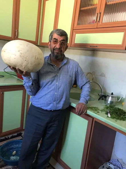 Daş sandılar, yaxınlaşanda gerçəyi görüb heyrətləndilər - FOTO