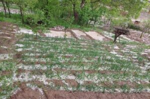 Daşkəsənə dolu yağdı