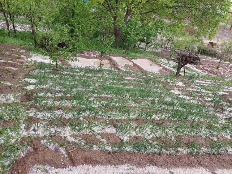 Daşkəsənə dolu yağdı