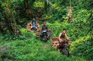 Müasir quldarlığın qurbanlarının sayı kəskin artıb