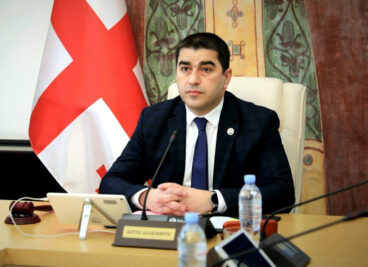 salva papulasvili 12