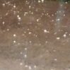 trend agdam dolu 110523 1 768x403 1