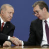 vuchik i erdogan