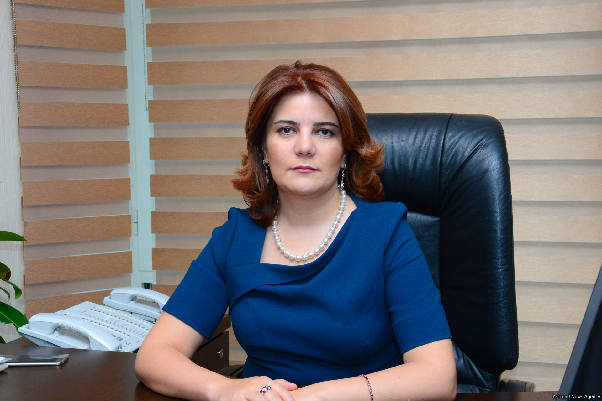 Mediamız artıq istənilən xoşagəlməz iftira kampaniyasına cavab verməyə qadirdir - İlham Əliyev 2 vusale mahirq