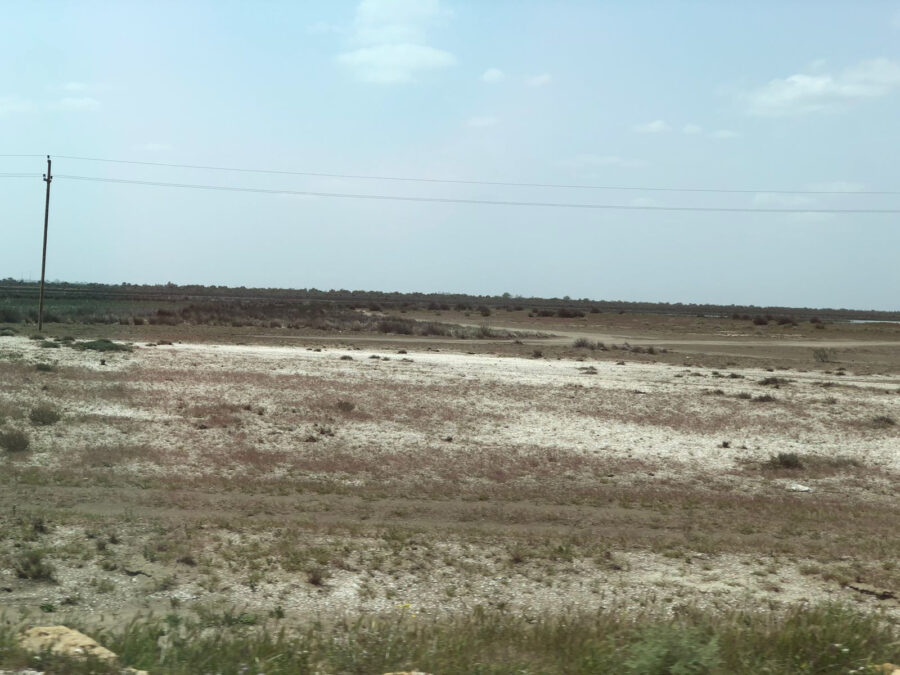 Neftçalada Xəzərin sahilində nə baş verir? - FOTOLAR