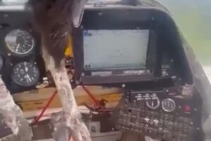 Təhlükəli anlar: Yırtıcı quş pilotlara hücum etdi - VİDEO