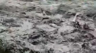 1688134488 357479093 1335985396989006 2752796699369981344 n