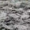 1688134488 357479093 1335985396989006 2752796699369981344 n