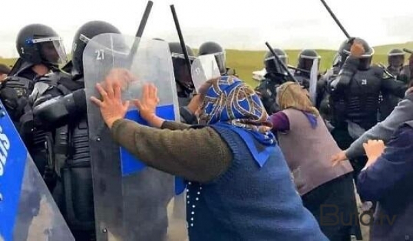 "Dolya vorovskaya", “Cücələrim” və Qurban bayramında bəzədilən qoç