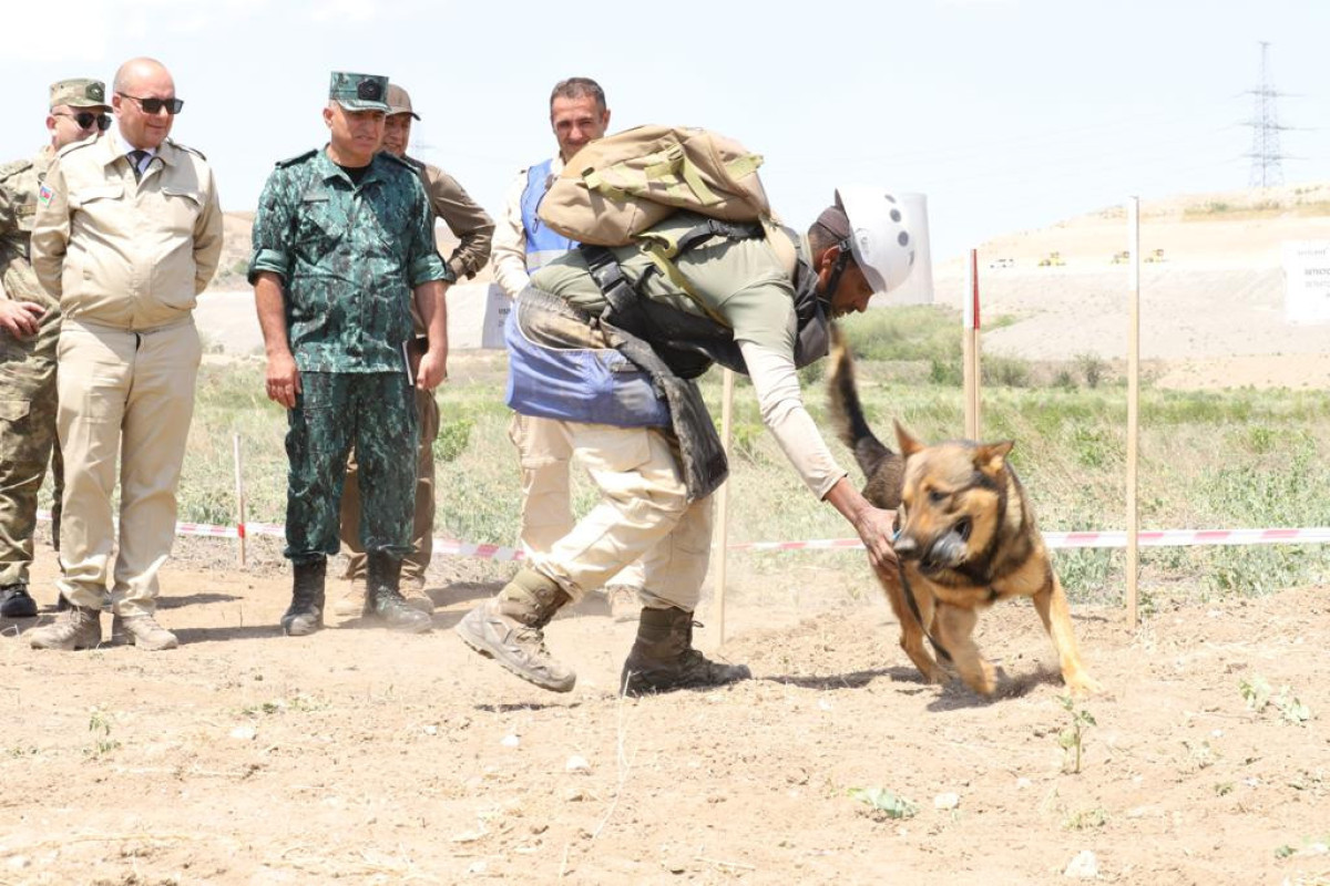 Zəngilanda İşçi qrupunun iclası keçirildi - FOTO 4 Zəngilanda İşçi qrupunun iclası keçirildi - FOTO