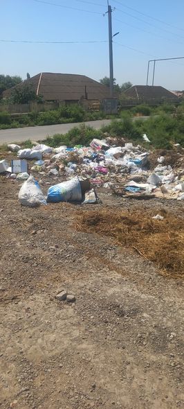 Küçəni zibillədilər, cərimələndilər - FOTOLAR